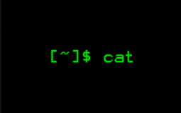 Coding Environement Tier List